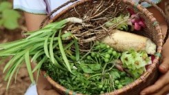 A variety of vegetables Ae Thoo and her friends gathered from rotational farm and community forest; Photo Credit: Phnom Thano, Indigenous Media Network (IMN)