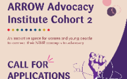 Flyer for ARROW Advocacy 6-week Institute. Credit: ARROW