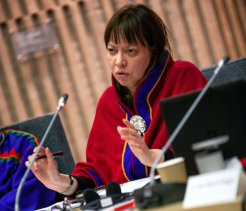UN Special Rapporteur on the Rights of Indigenous Peoples