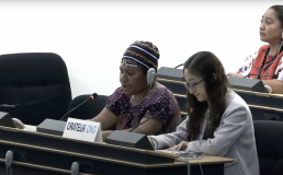 Photo of Cressida Kuala presenting at the UN. Credit: UN WebTV