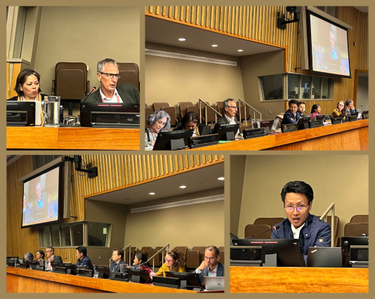 Photos of speakers at the side event Securing land and territorial rights for Indigenous Peoples, equitable participation in decision making is central to ensuring the survival of biodiversity, improve planetary health and mitigate climate change. Credit: DTP 