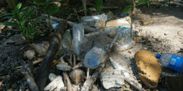 Platsic litter washed up on sand marsh in Fiji. Credit: DTP