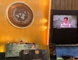 AIPP Secretary General Gam Shimray addressing UNGA. Credit: AIPP