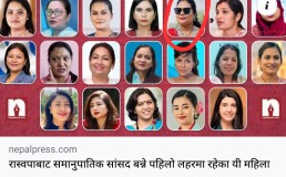 Nepal Press Screenshot