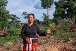 Heng Saphen estimates that her community lost 490 hectares (1,211 acres) to Sambath Platinum, but that doesn’t include the forest cleared by the company. Credit: Gerald Flynn/Mongabay.
