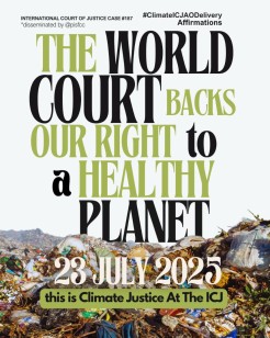 Flyer stating the World Court backs our right to a healthy planet. Credit: PISFCC