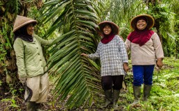 Indonesian women palm oil workers. Credit: UNDP