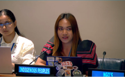 Photo of Mitch Teofilo presenting at the UN. Credit: UN Web TV