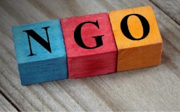 Wooden blocks spelling out NGO. Credit: Stock image