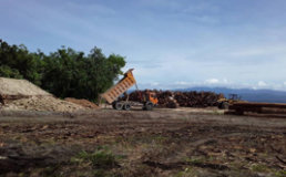 Photo of deforestation in PNG