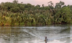 A man and a child paddle in a canoe on the Sepik River in the northern Papua New Guinea. Photograph: Renato Granieri/Alamy Stock Photo