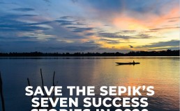 Cover of Save the Sepik's Seven Success Stories in 2020 report
