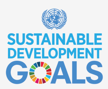 Sustainable Development Goals logo. Credit: UN