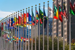 World flags at the UN. Credit: Getty Images/iStockphoto