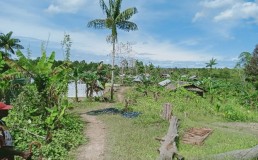 The new site (Yapsi) occupied by the 2019 arrivals. Credit: Courtesy of M&R Desk