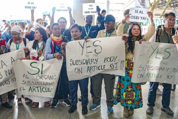 Indigenous Peoples holding signs in a number of languages calling for Yes to Subsidary Body to Article 8J. Credit: IIFB
