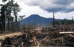 Deforestation in PNG. Credit: Isidor Kaupon