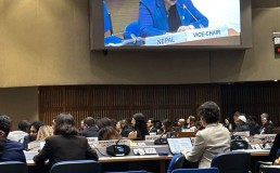 Photo of Geeta Chaudhury at the UN ESCAP Committee Session