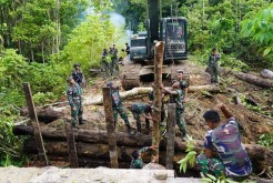 Photo of logging in West Papua. Credit: Markus Haluk